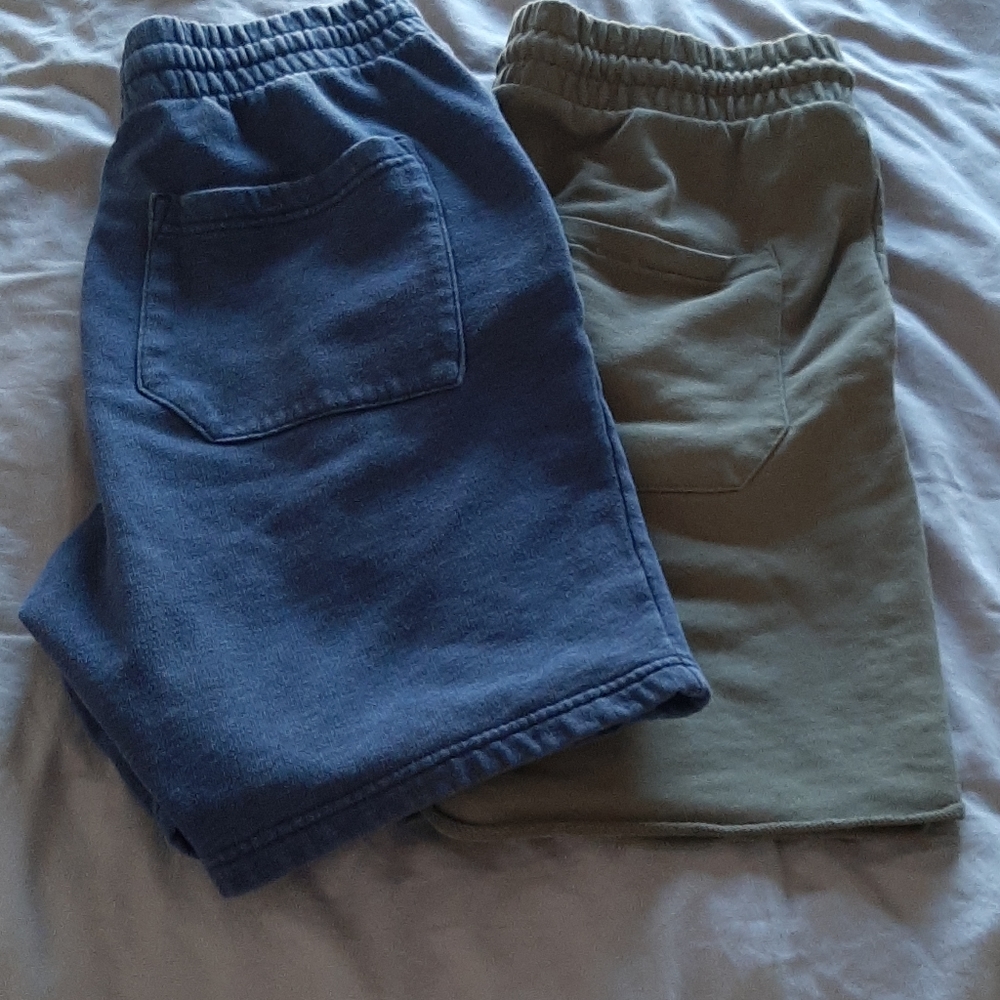 Lot of 2 shorts